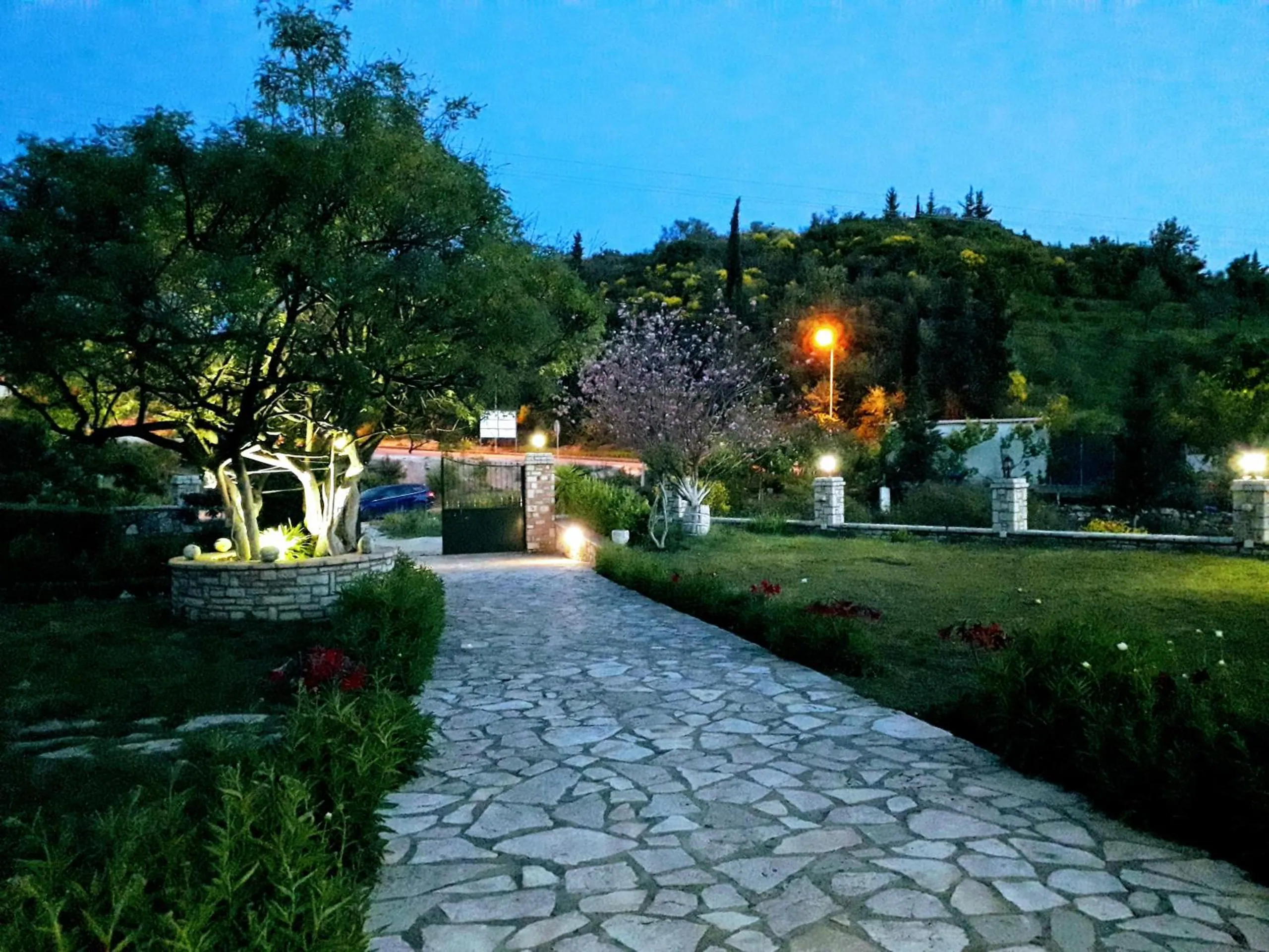 A flagstone path lit by low lamps between lawns, a tree in blossom and the hillside behind