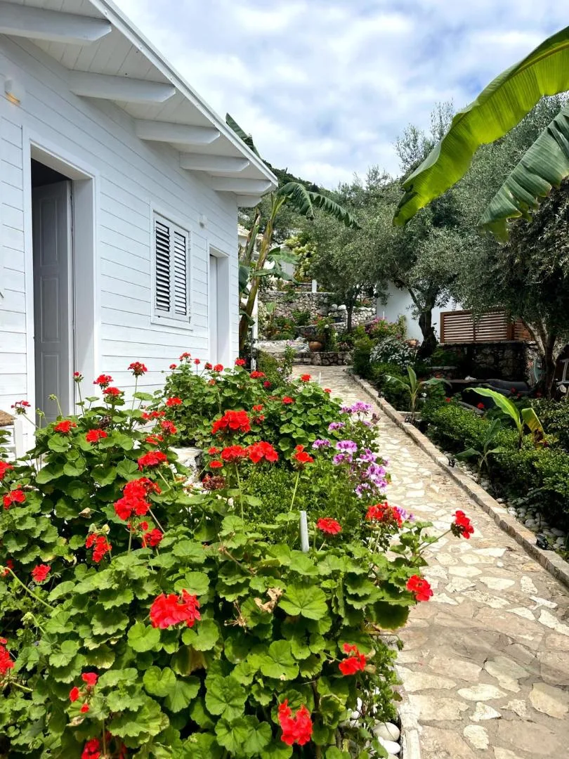 A white timber bungalow beside a crazy-paved path, with red geraniums in the foreground and olive trees beyond
