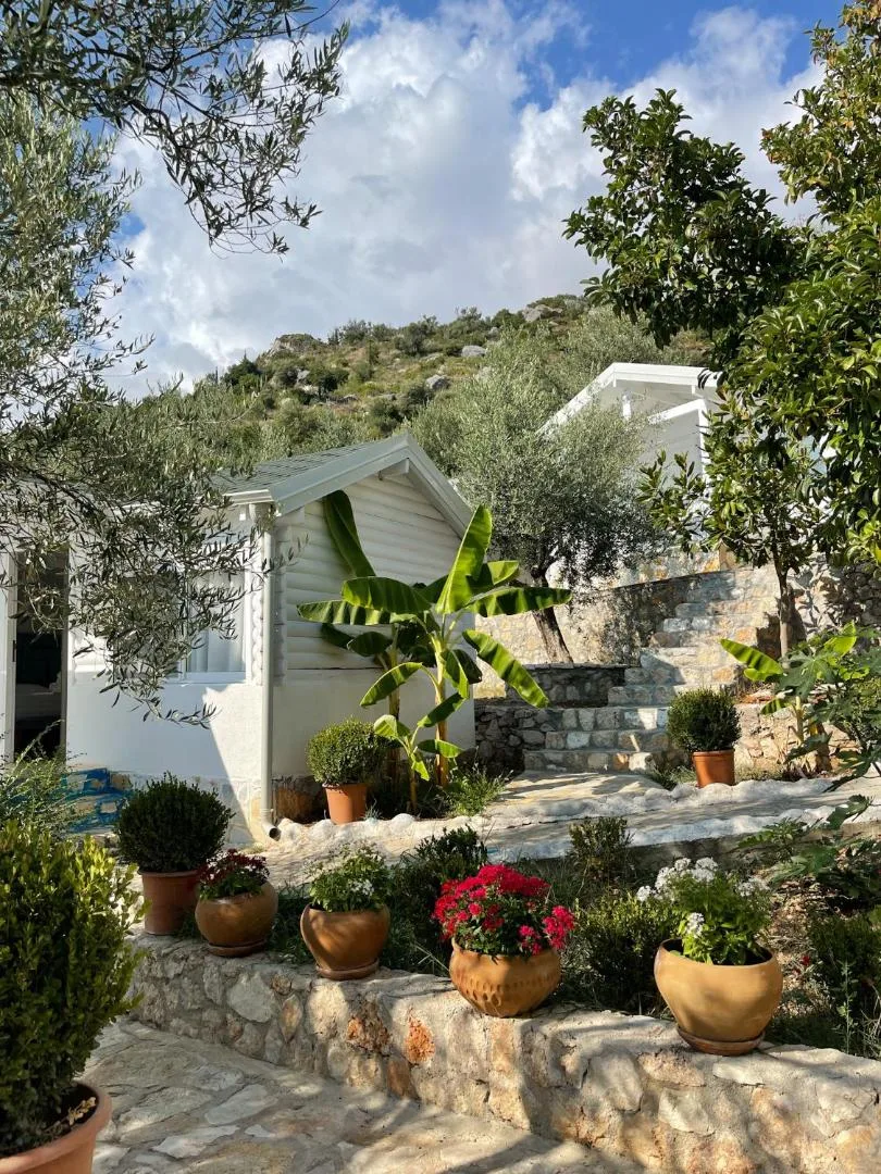 A white bungalow above dry-stone steps lined with pots of flowers, olive trees on the hill behind