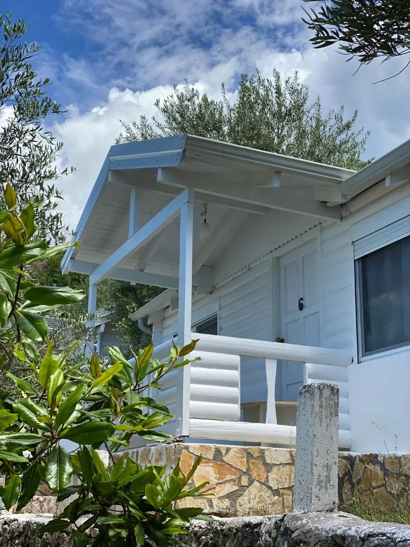 A white timber bungalow with a covered veranda and a stone base, framed by olive branches
