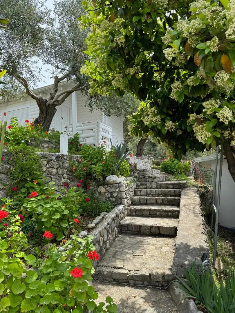 Stone steps climbing through the garden between geraniums, olive trees and a white bungalow