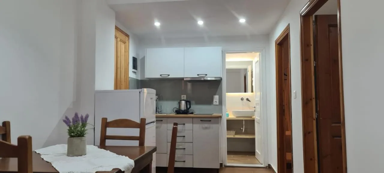 The kitchenette wall with hob, kettle and fridge, the dining table in front