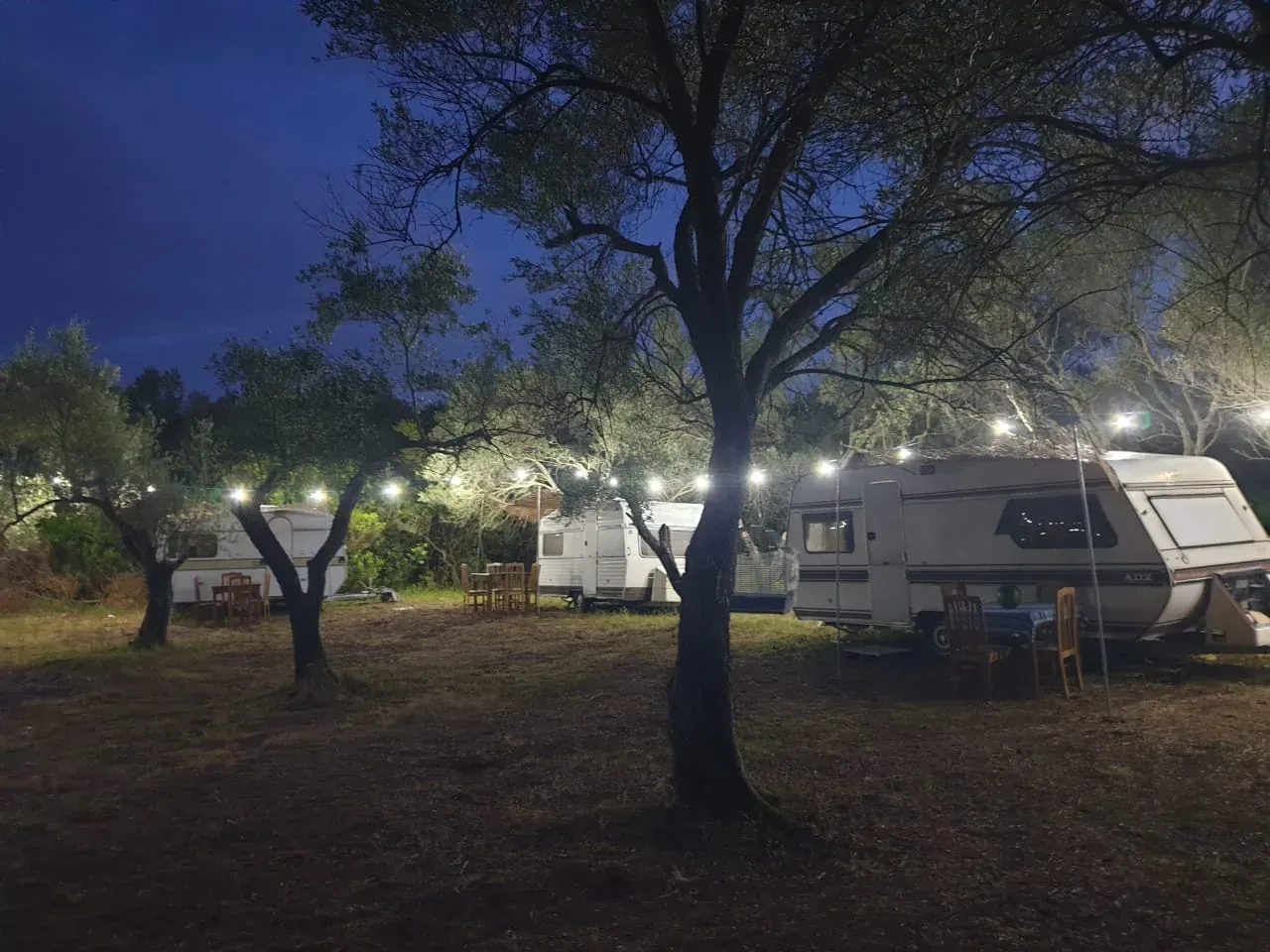 A string of white lights between olive trees at blue hour, caravans and tables beneath