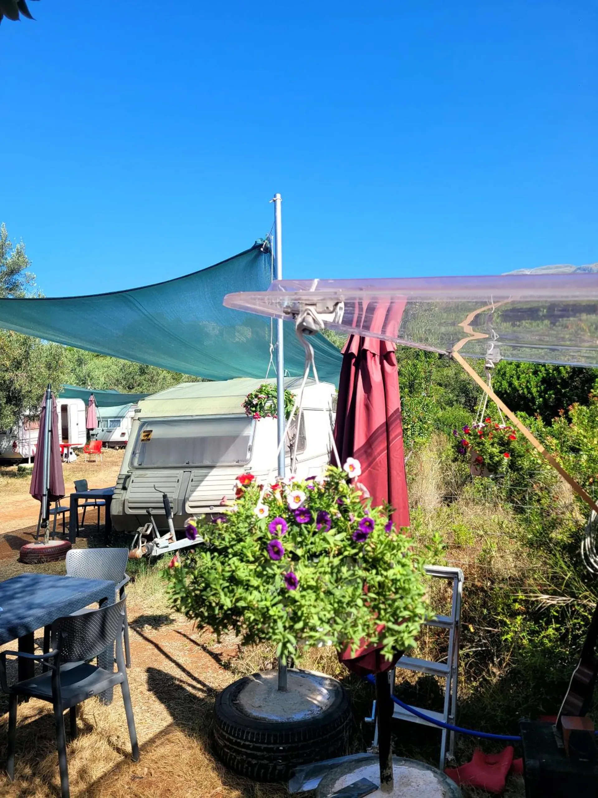 A teal shade sail and a clear awning over a caravan pitch, petunias in a hanging basket and a parasol, caravans further down the grove