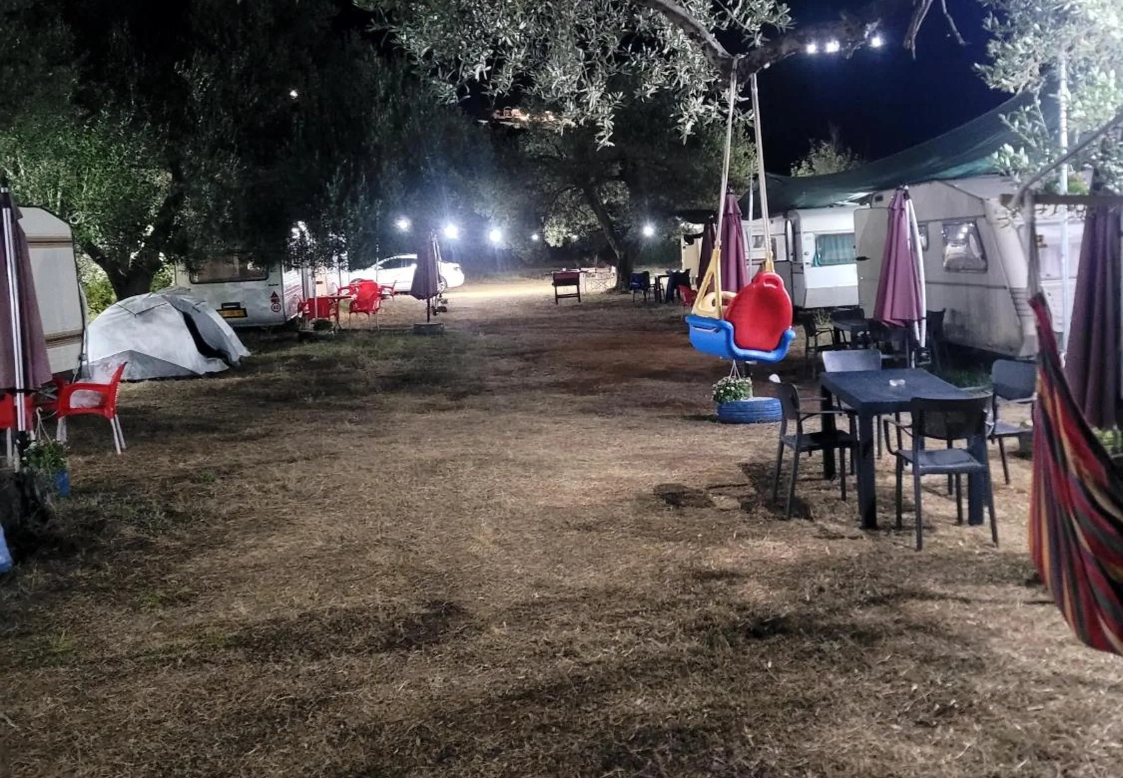 The lane through the olive grove at Aquariumi at night, white bulbs strung along it, caravans and dome tents on either side and a rope swing hanging from a branch