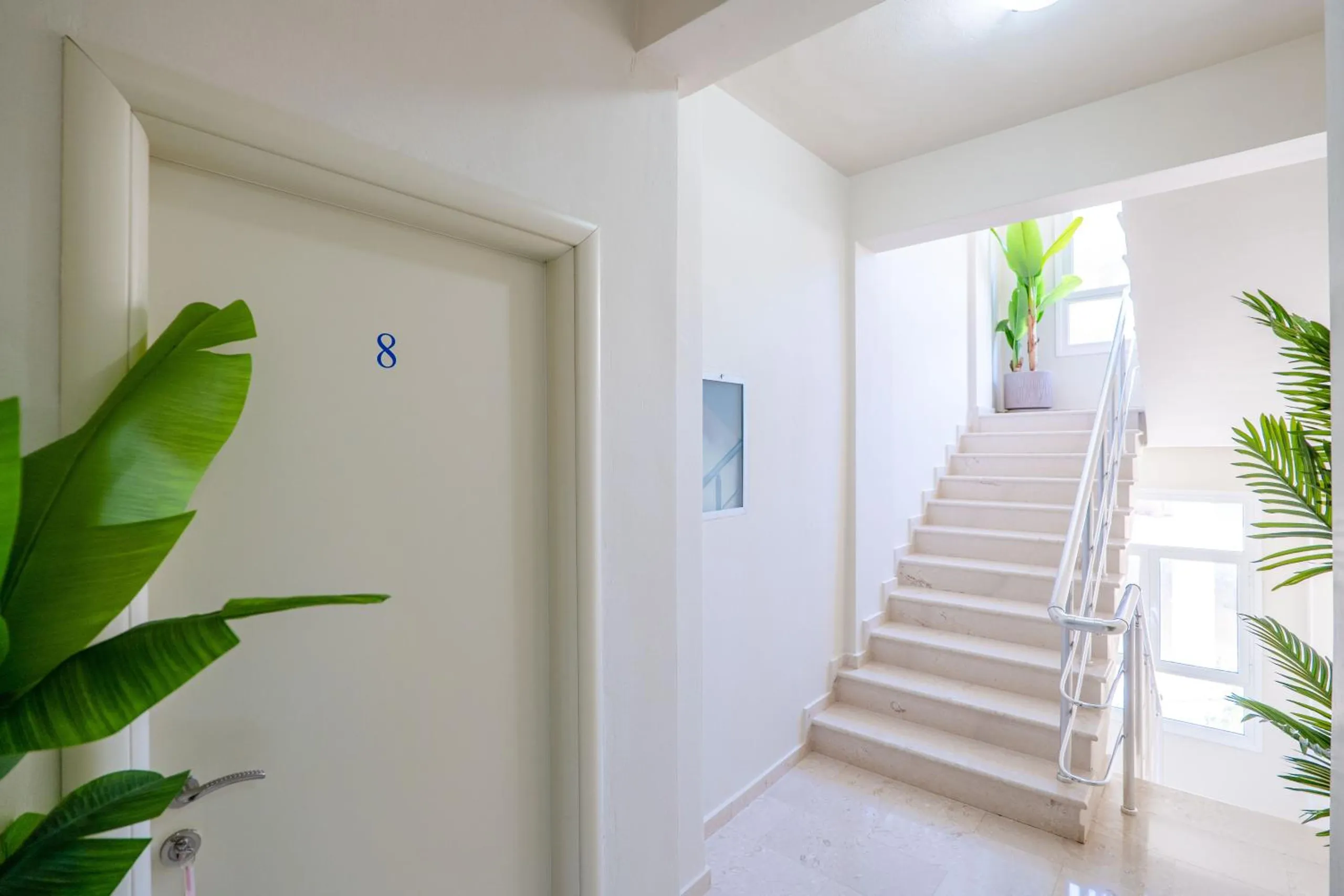A white door with the number 8, a staircase rising beside it and a large green plant in the foreground