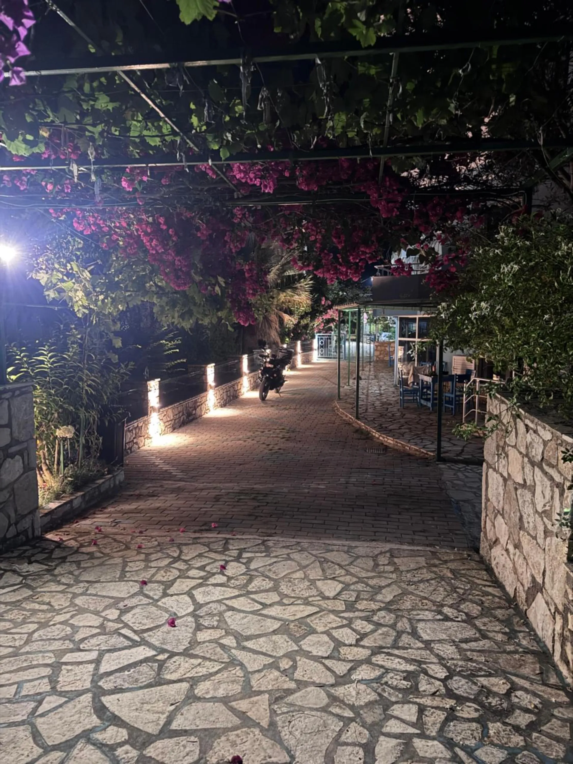 A crazy-paved path at night under a pergola heavy with magenta bougainvillea, small lights set low in the stone wall