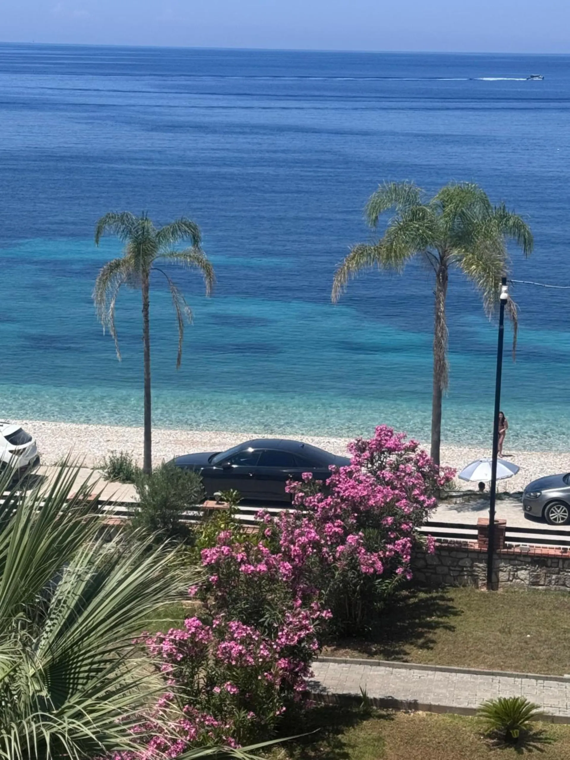 Two palms and a pink oleander in the garden, the promenade and a strip of turquoise sea behind them