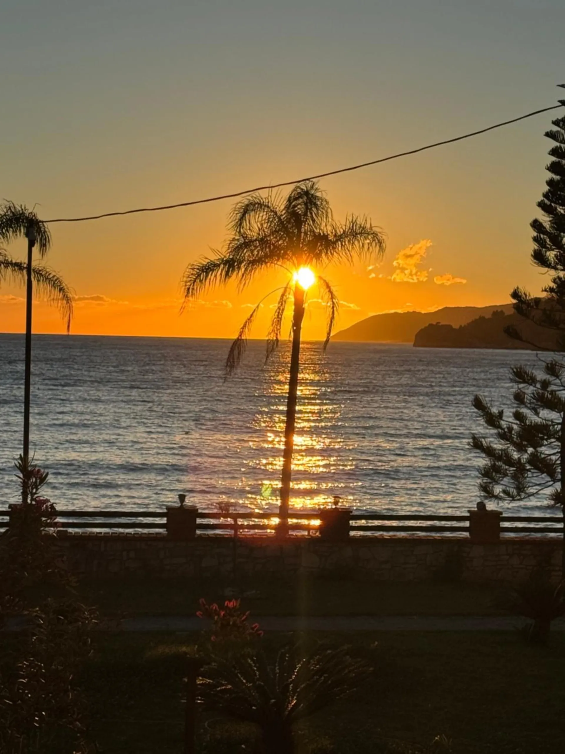 The sun setting into the sea behind a palm, with a low wall and a lamp post in the foreground