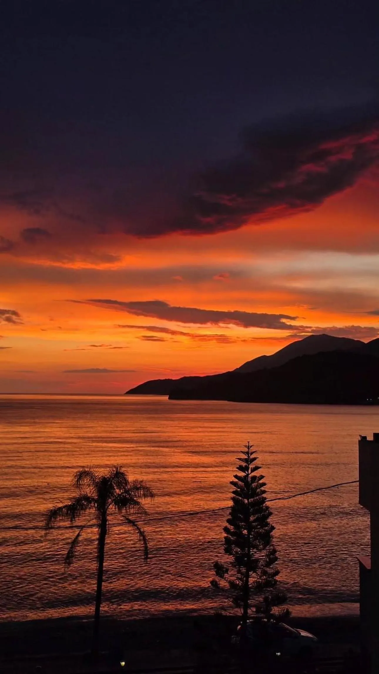 An orange and violet sunset over the sea, the dark headland on the right and a palm silhouetted in the foreground