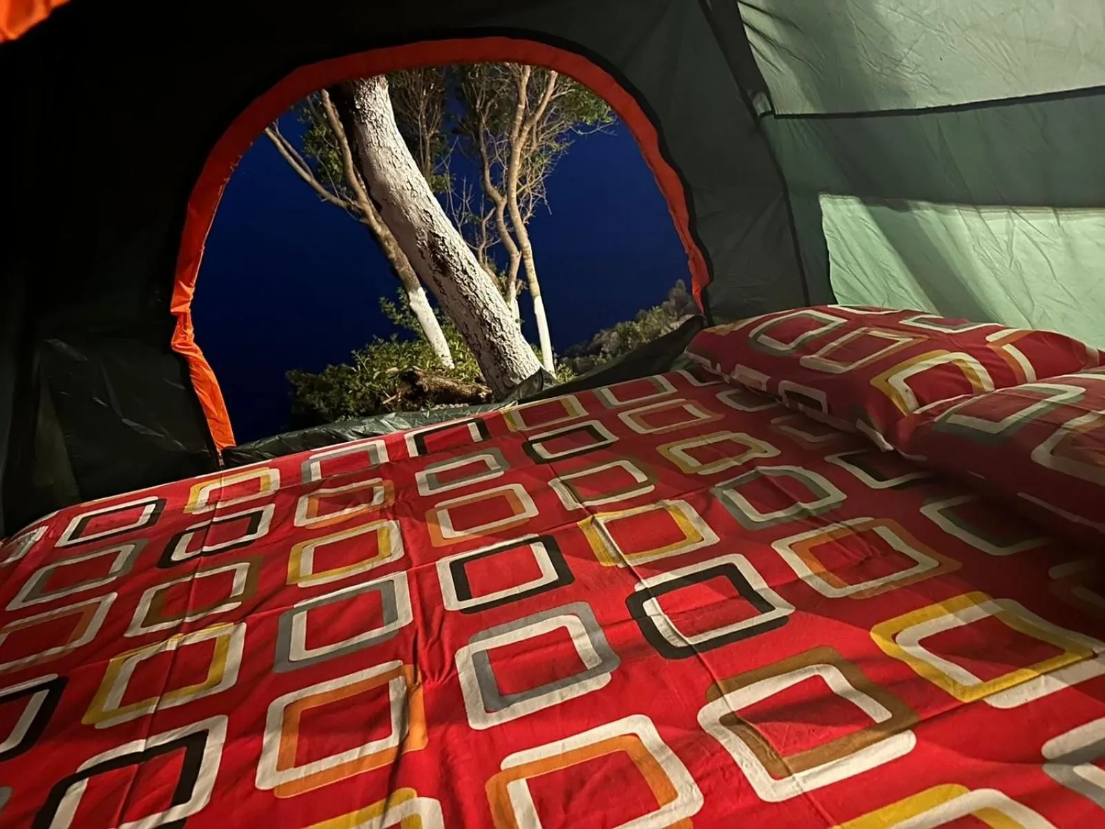 Inside a tent at night: a made-up double mattress, and through the open door a pale tree trunk against the dark sea