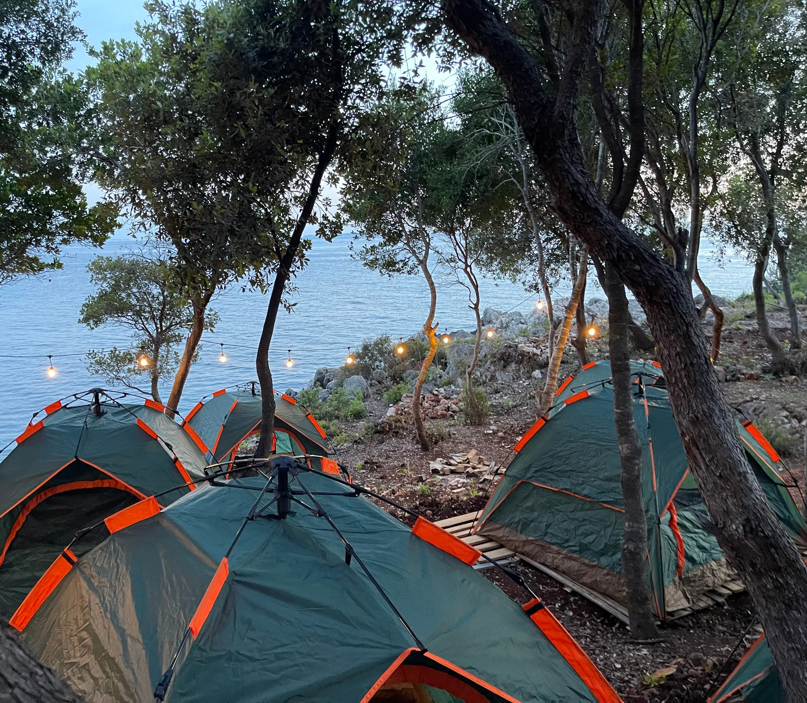 Green dome tents with orange trim under holm oaks at dusk, string lights between the trunks and the sea beyond