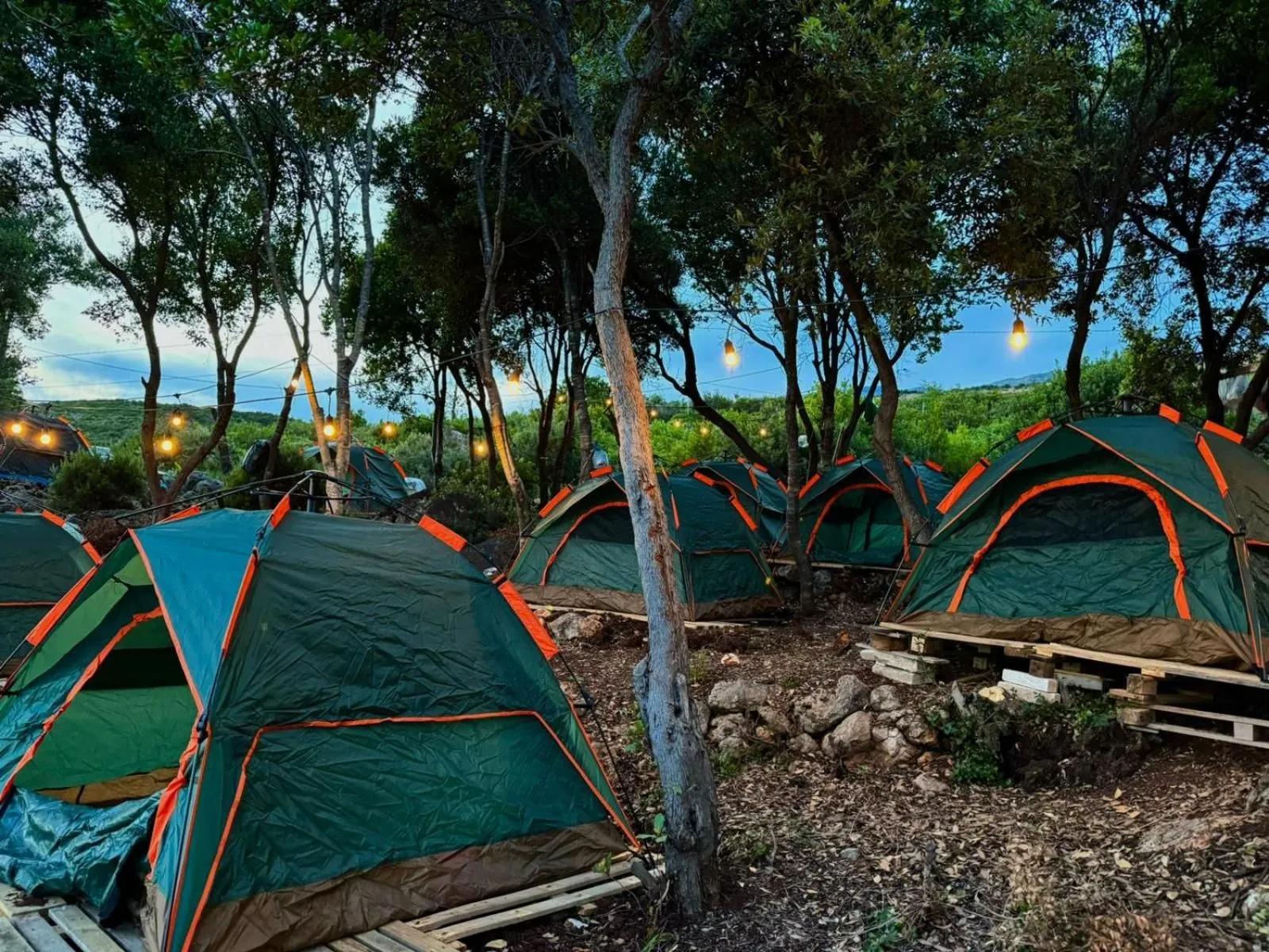 A row of dome tents under the trees with the sea behind them