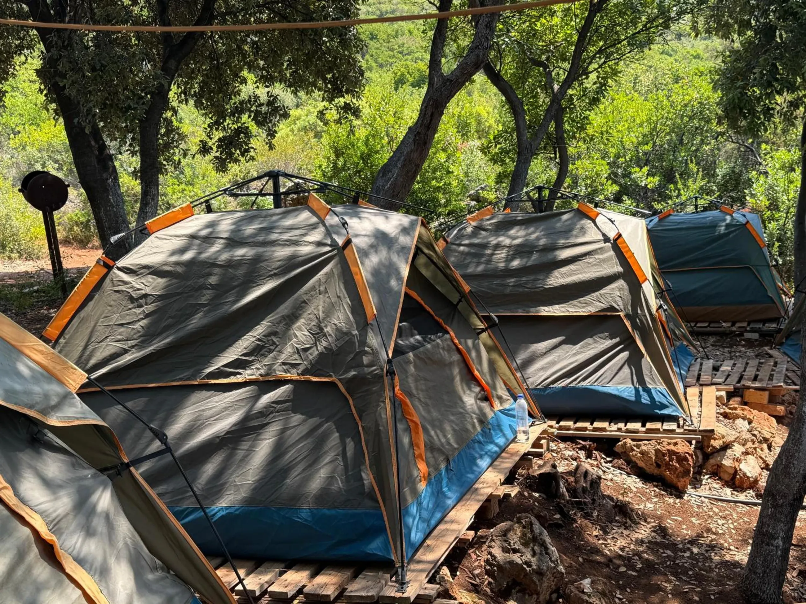 Dome tents pitched on wooden pallet decks in the shade of the trees