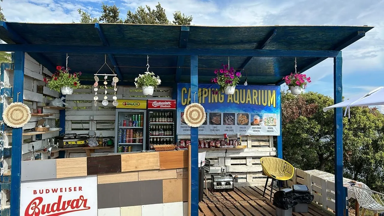 The camp bar: a pallet-wall shack with a blue painted frame, hanging petunias and a Camping Aquarium sign