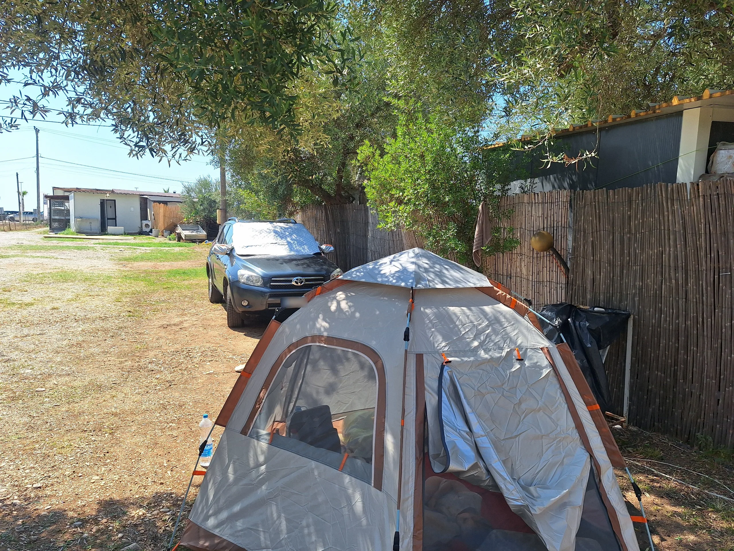 A guest's dome tent pitched in the shade of olive trees beside a reed fence, a car parked behind it and the white sanitary block across the grass