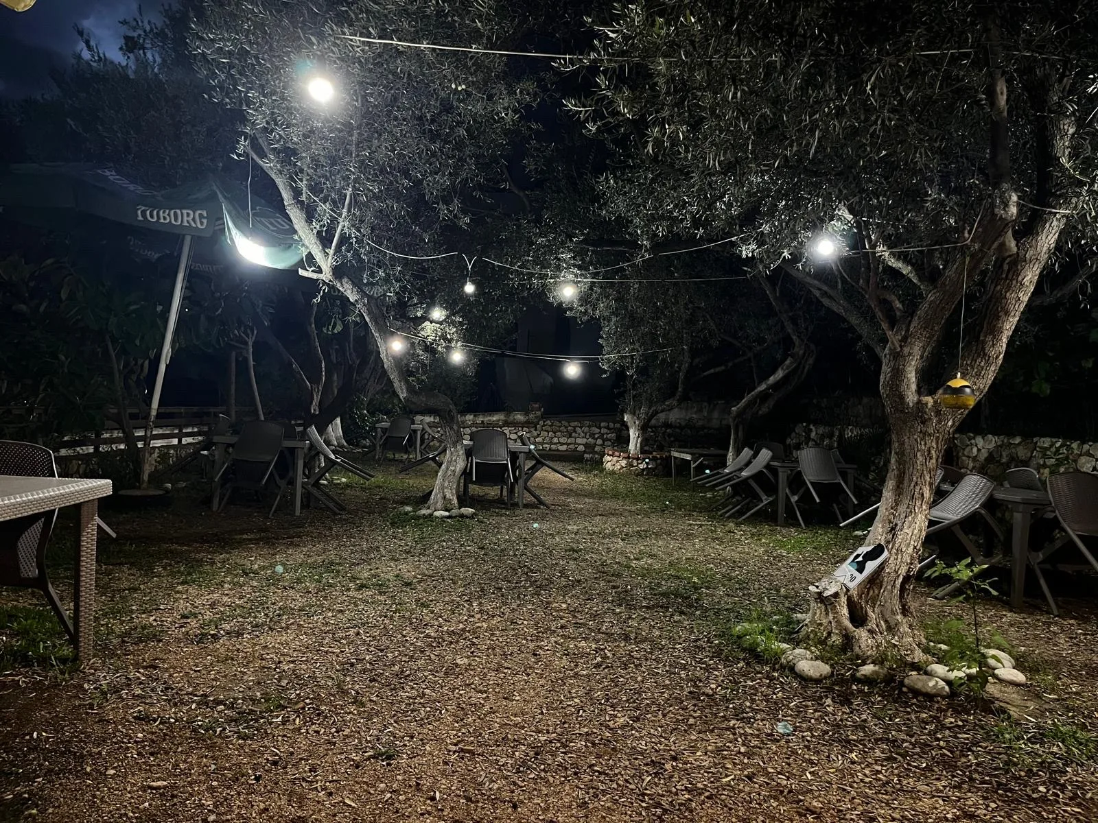 The restaurant garden after dark, string lights hung between olive trees over empty tables and a gravel floor