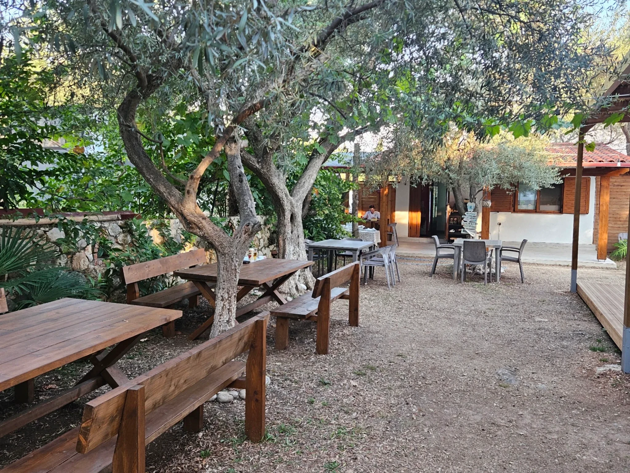 Plank picnic tables and benches on gravel under two old olive trees, with the white kitchen block and its timber shutters behind