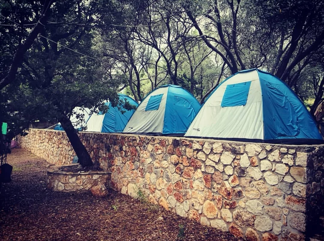 A row of blue and white dome tents pitched on a raised terrace behind a dry-stone wall, olive trees overhead