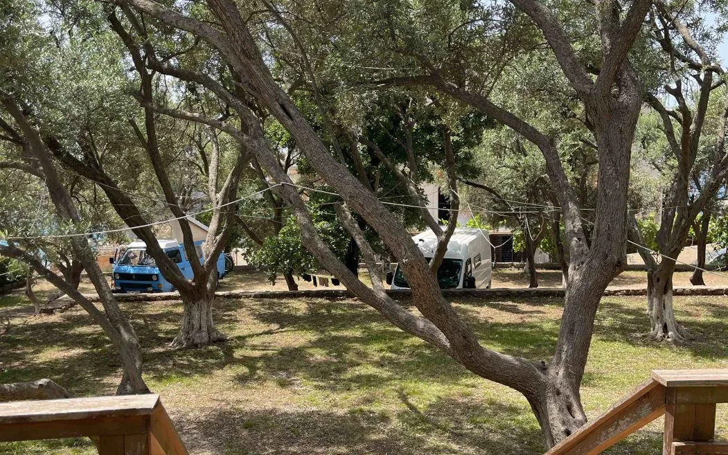 Two campervans parked deep in the olive grove, seen from a wooden stair rail
