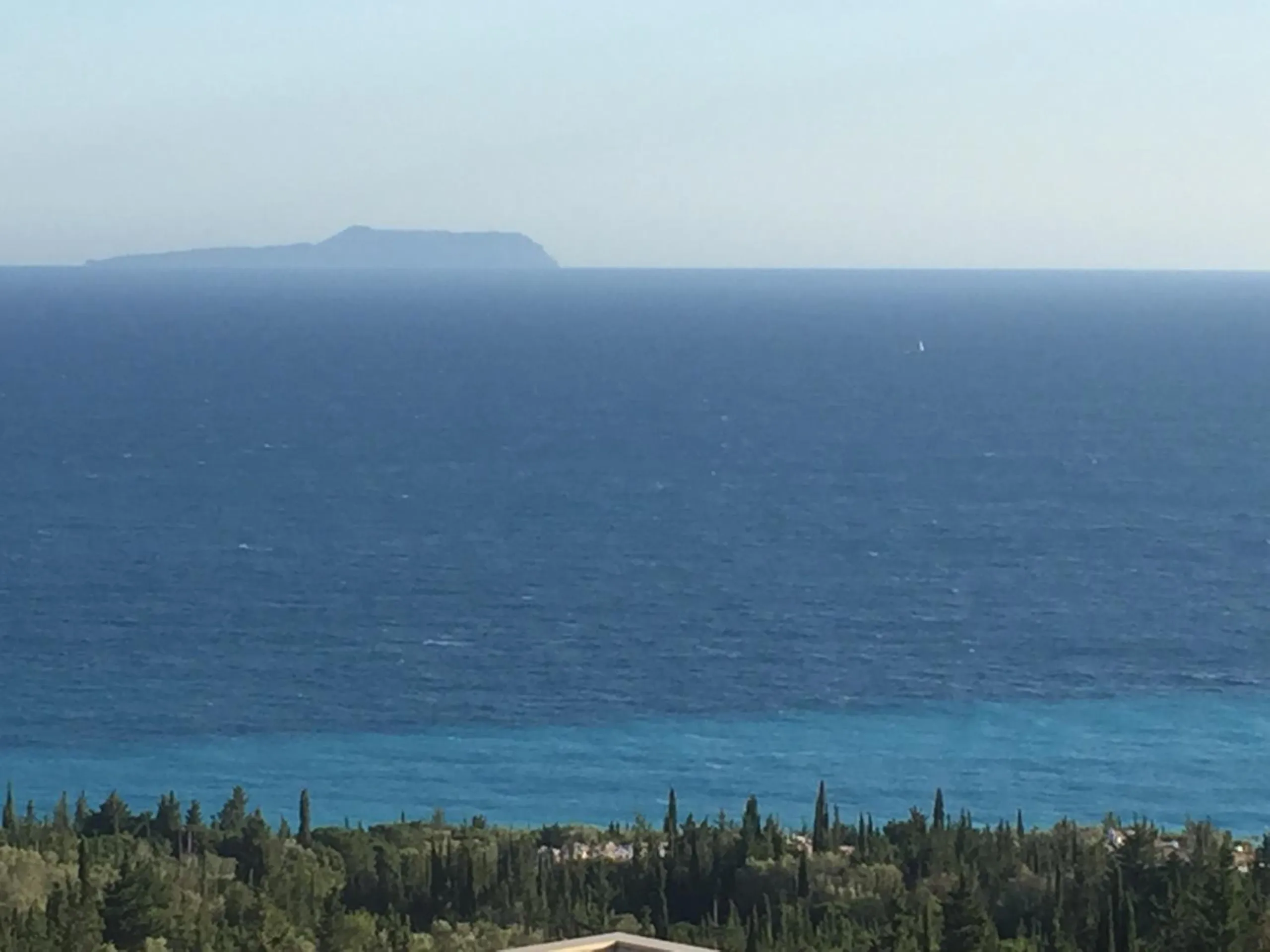 Deep blue sea under a pale sky, seen over a slope of cypress and olive trees, an island low on the horizon