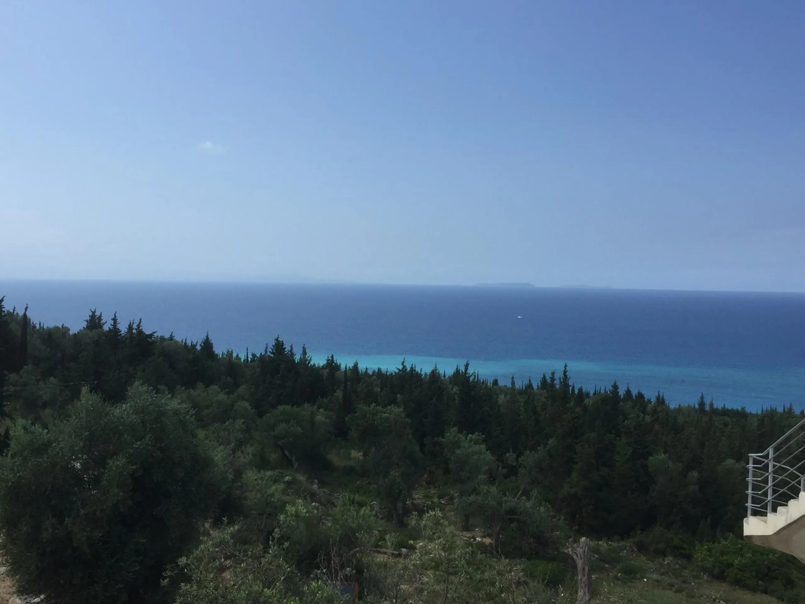 Turquoise water close to shore and deep blue further out, seen over a dark green slope of olive and cypress trees