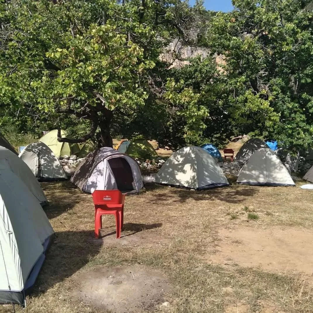 Dome tents in the shade of a spreading tree on dry ground, with a red plastic chair standing in front of them
