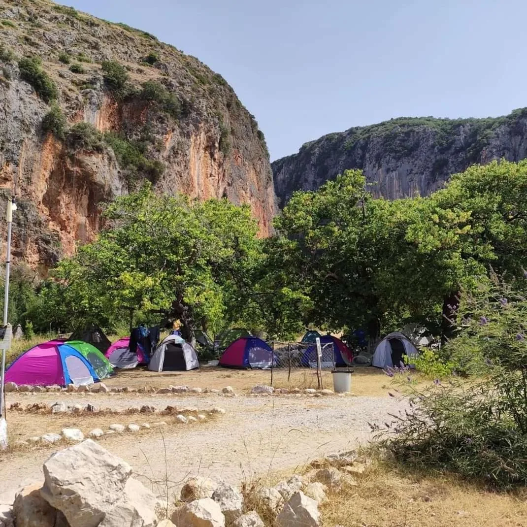 A row of brightly coloured dome tents under broad trees, a stone-edged gravel path in front and the orange-streaked cliffs of the canyon rising behind