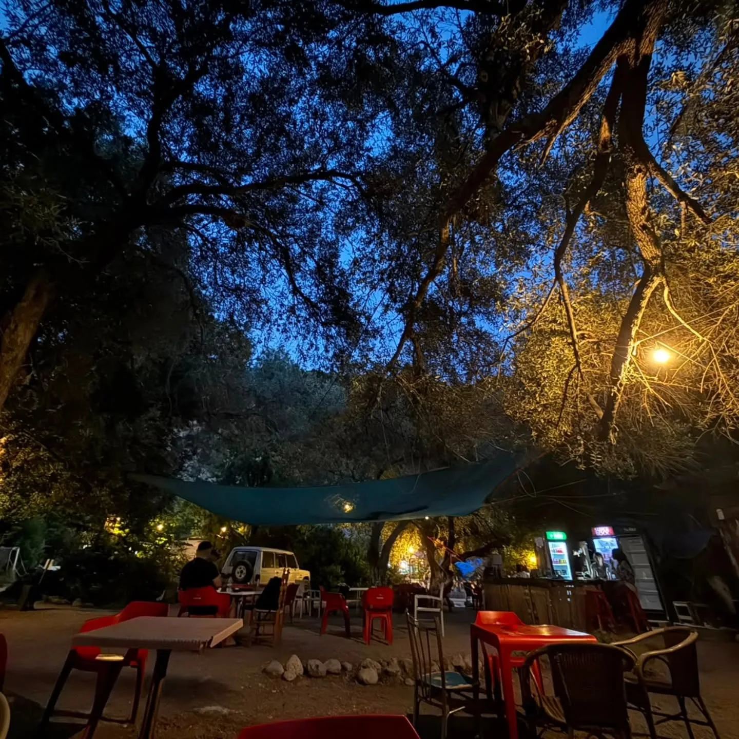 The campground bar after dark under olive branches, red tables and chairs on gravel lit by a single lamp, a lit drinks fridge and a shade sail overhead against a deep blue sky