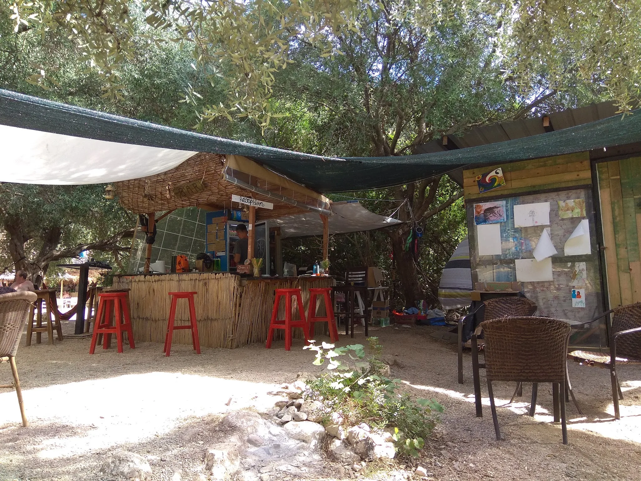 The campground bar by day: a cane-fronted counter with red bar stools under a green shade sail, wicker chairs on white gravel and a noticeboard on a timber hut, all under olive trees