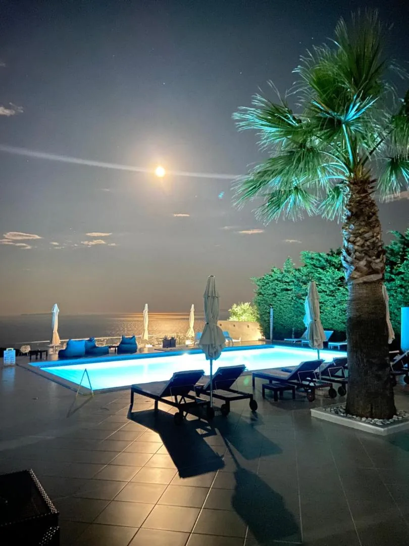 The pool at night under a full moon, its light on the sea and a palm lit from below