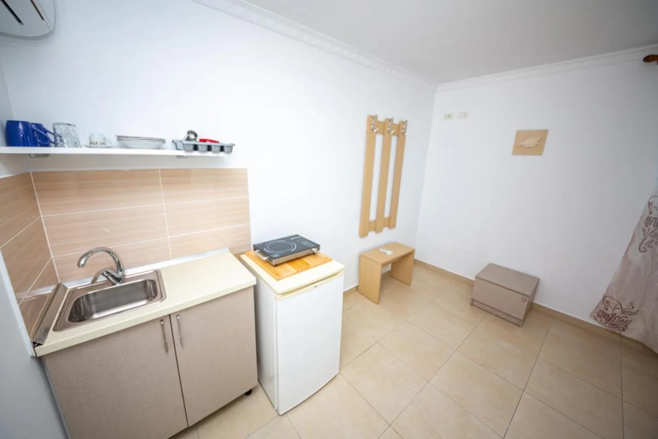 The double studio's kitchenette: sink, two-ring hob, small refrigerator and a coat rack
