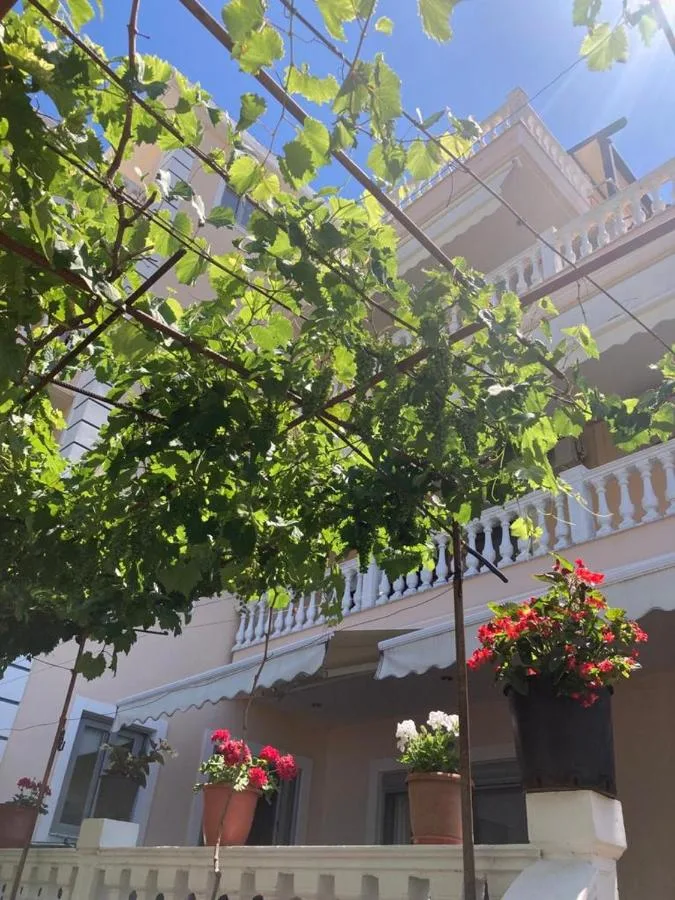 The entrance steps at Himara Apartments under a grape vine, with red geraniums in pots along the white balustrade