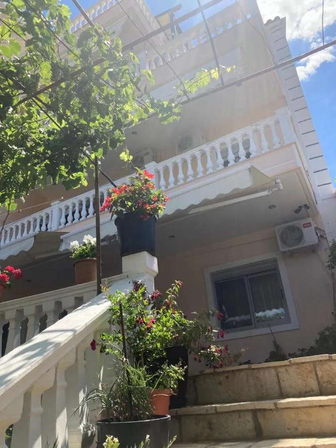 Balconies on the front of the building with geraniums on the rail and a vine climbing the wall