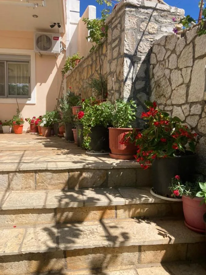 Stone steps beside the building lined with flowering pot plants in the sun