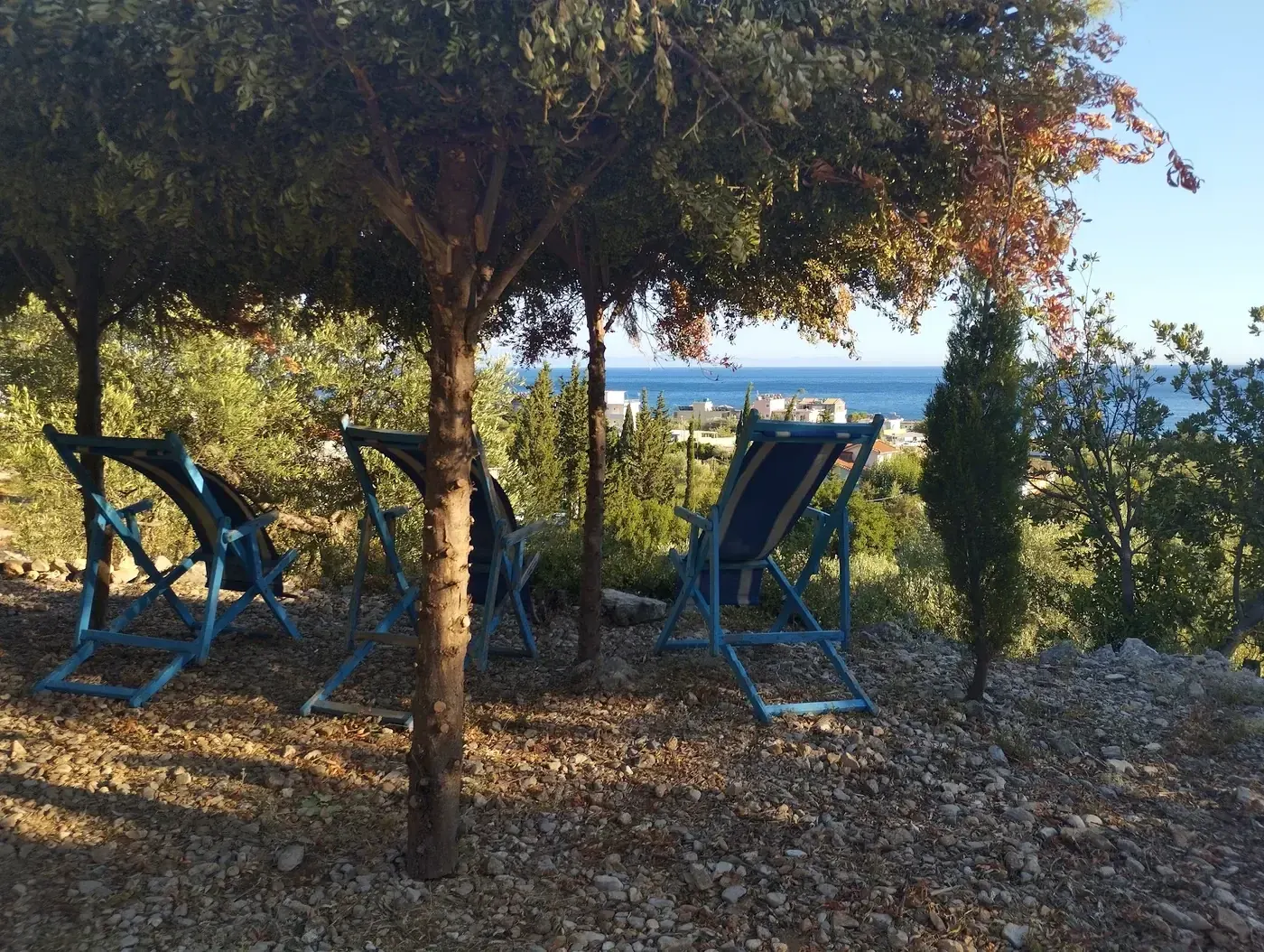 Deck chairs standing in dappled tree shade on the stony edge of the grove, the Ionian visible between the trunks