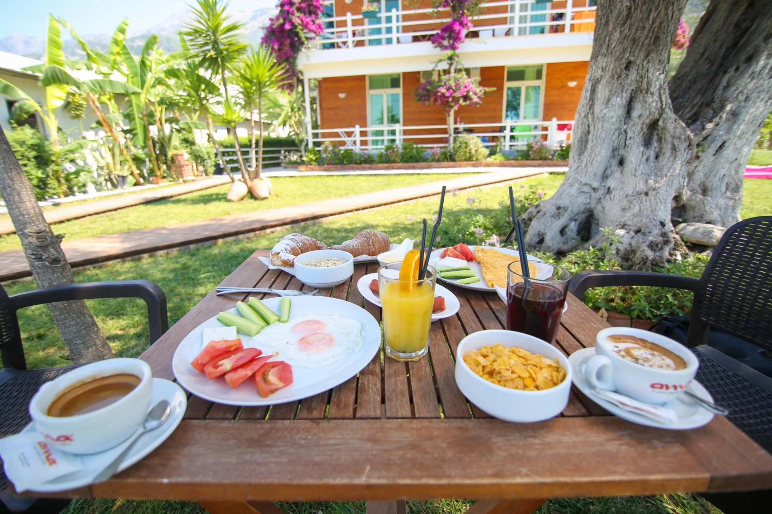Breakfast on a wooden table in the garden under the old olive, eggs, tomatoes, juice and coffee, the house behind