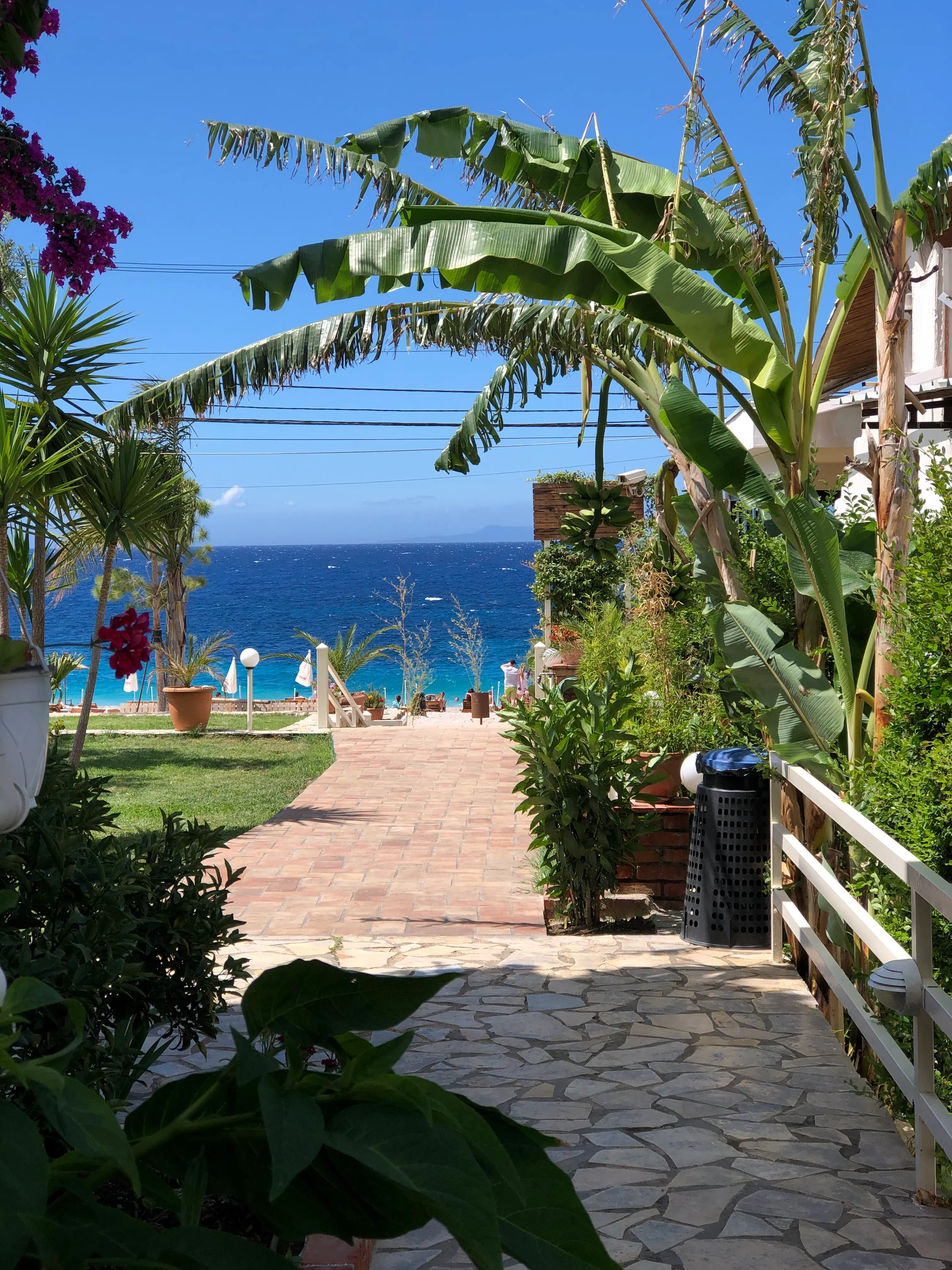 The garden path between banana plants and the lawn, running out to the umbrellas and the deep blue sea