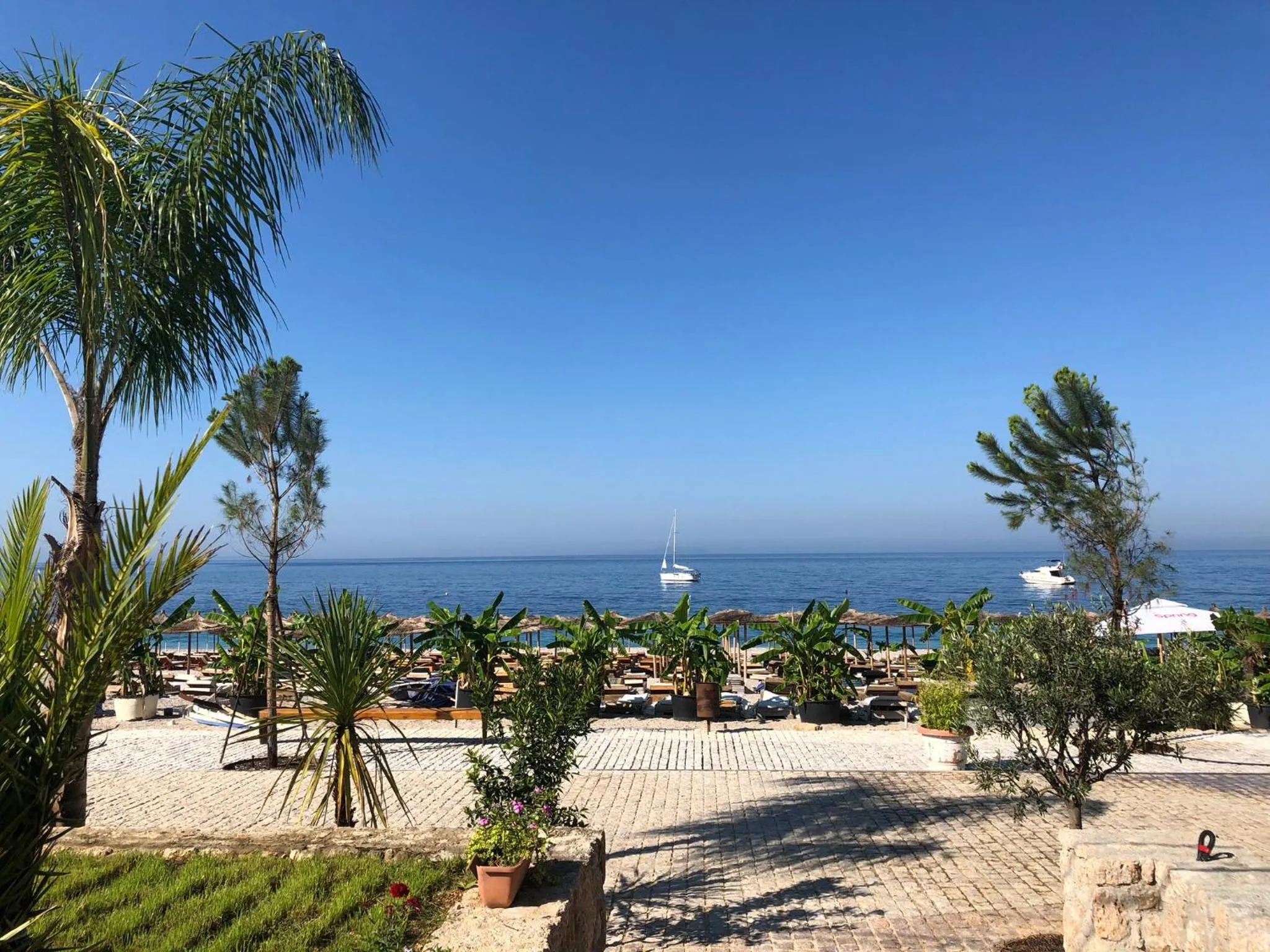 The paved promenade in front of the garden, palms and young pines, the beach umbrellas and the sea beyond