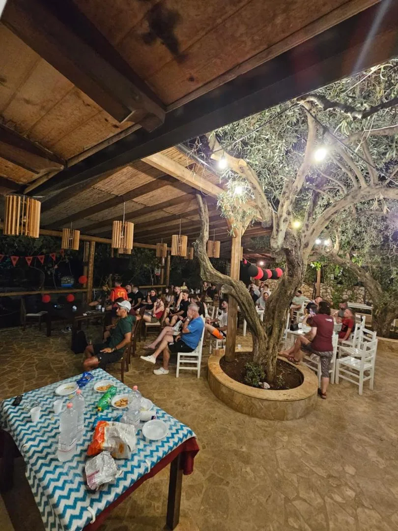 A covered terrace of white chairs and tables built around a living olive tree, strung with lights