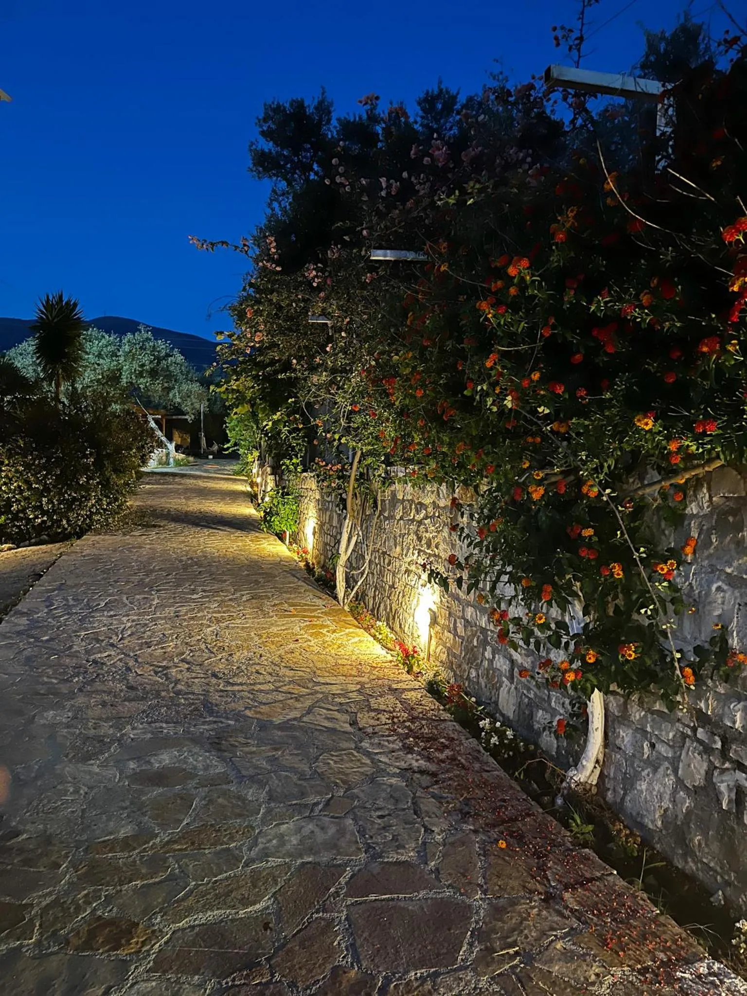 A paved garden path lit by low lamps at dusk, flowering shrubs on a stone wall to one side