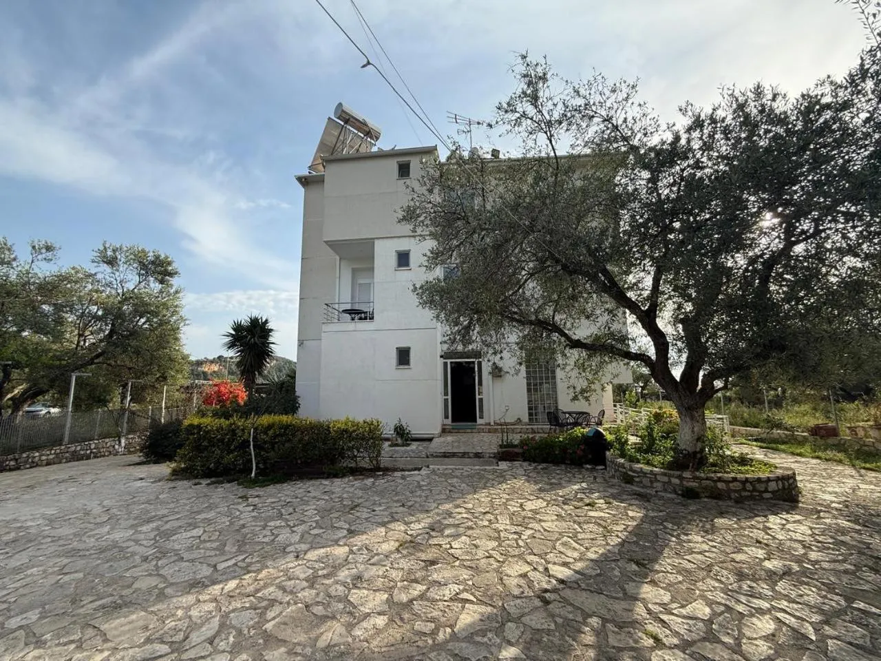 A tall white wing of the hotel beside an old olive tree, across a wide courtyard of crazy-paving flagstones