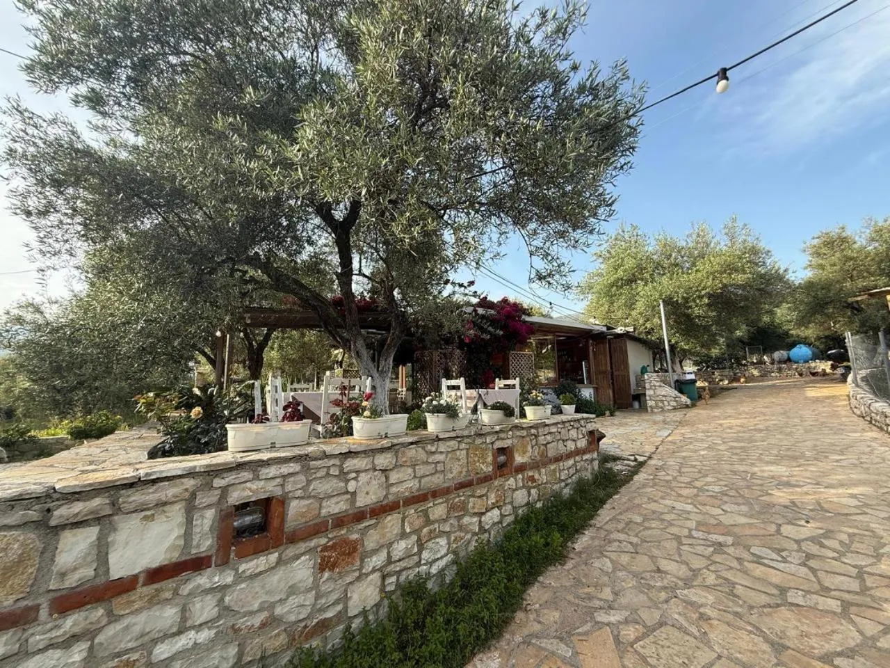 A paved path running beside a long dry-stone wall, olive trees and white taverna chairs above it
