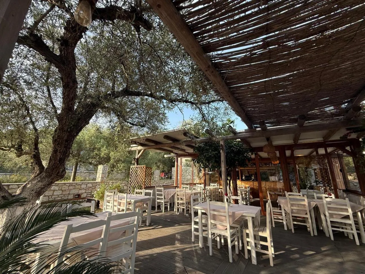 The taverna's timber deck under a reed pergola beside an old olive tree, white wooden chairs at tables laid with pale pink cloths