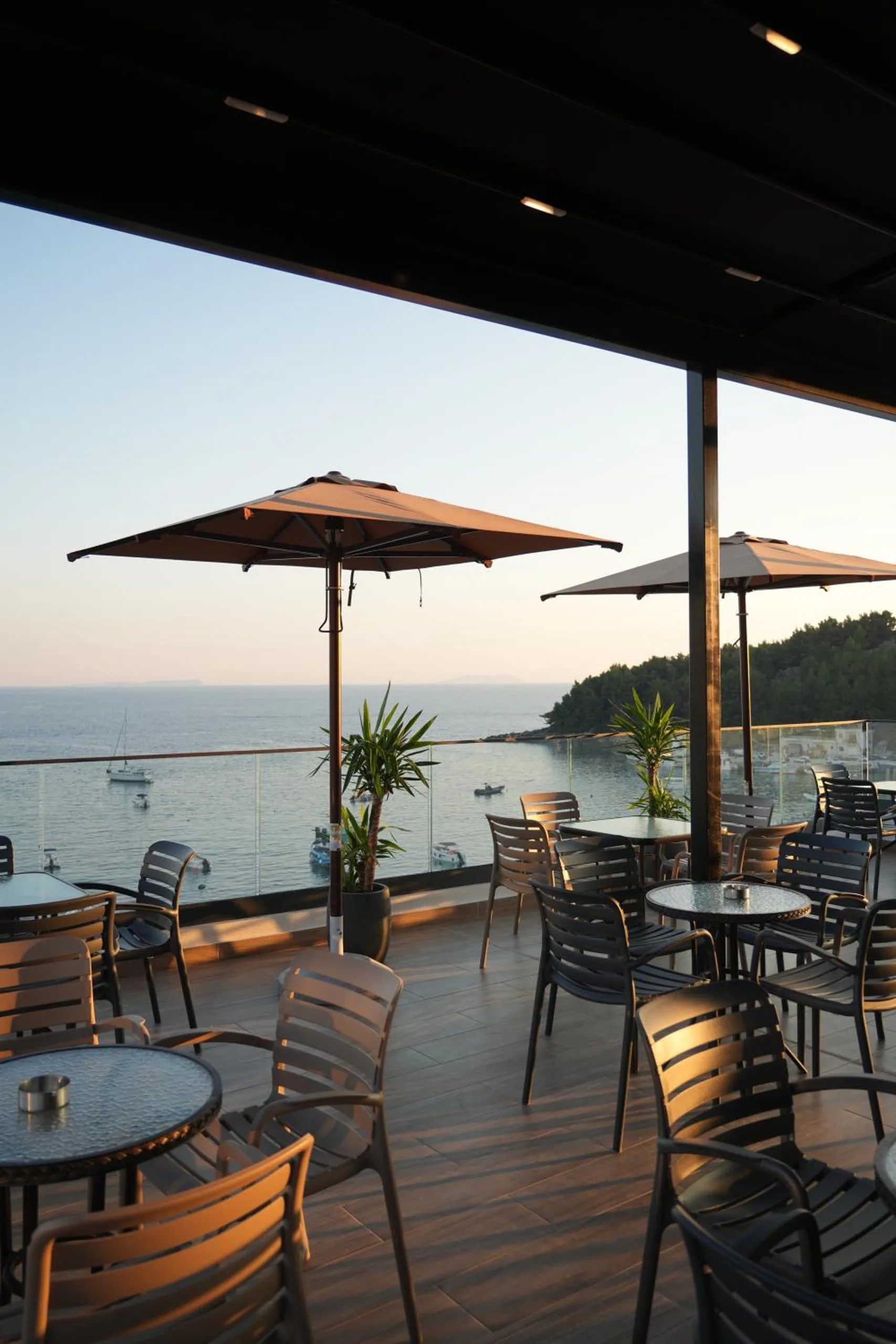 Tables and parasols on the roof terrace at dusk, a palm in a planter and the headland across the bay