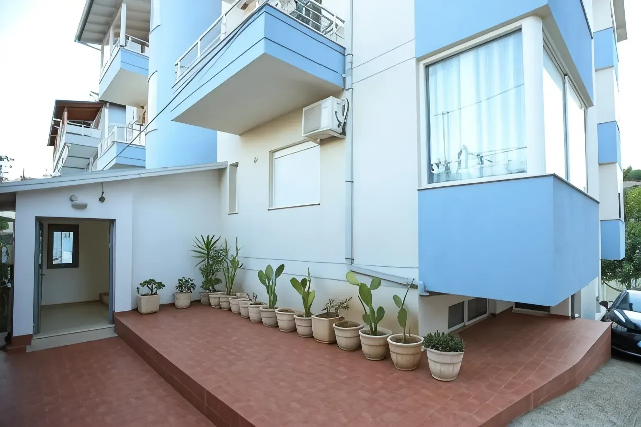 The entrance terrace in terracotta tile, a row of potted cacti and palms along the white wall under a blue bay window