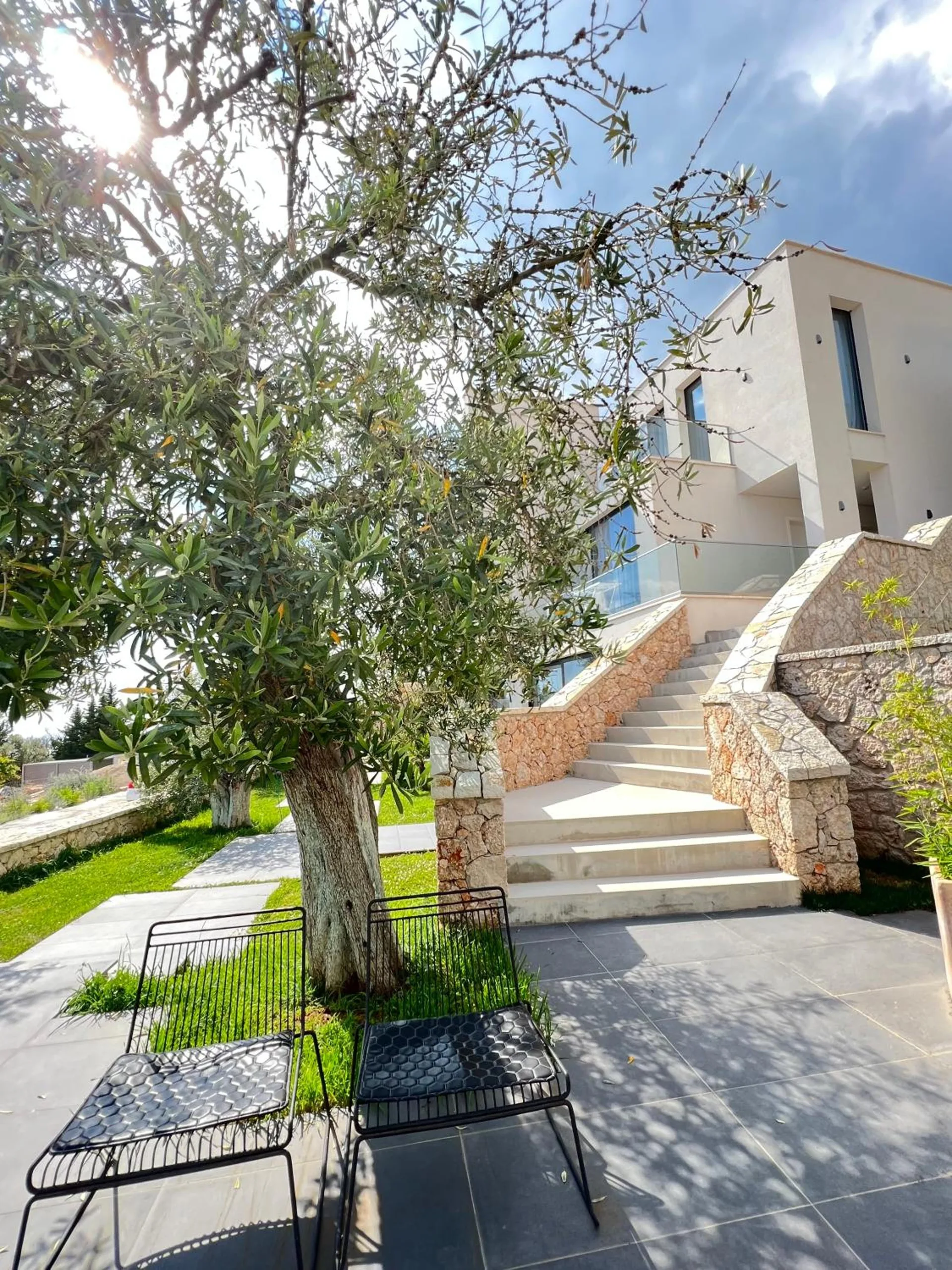 An old olive tree on the lawn beside stone steps that climb to the house, two black wire chairs on the paving