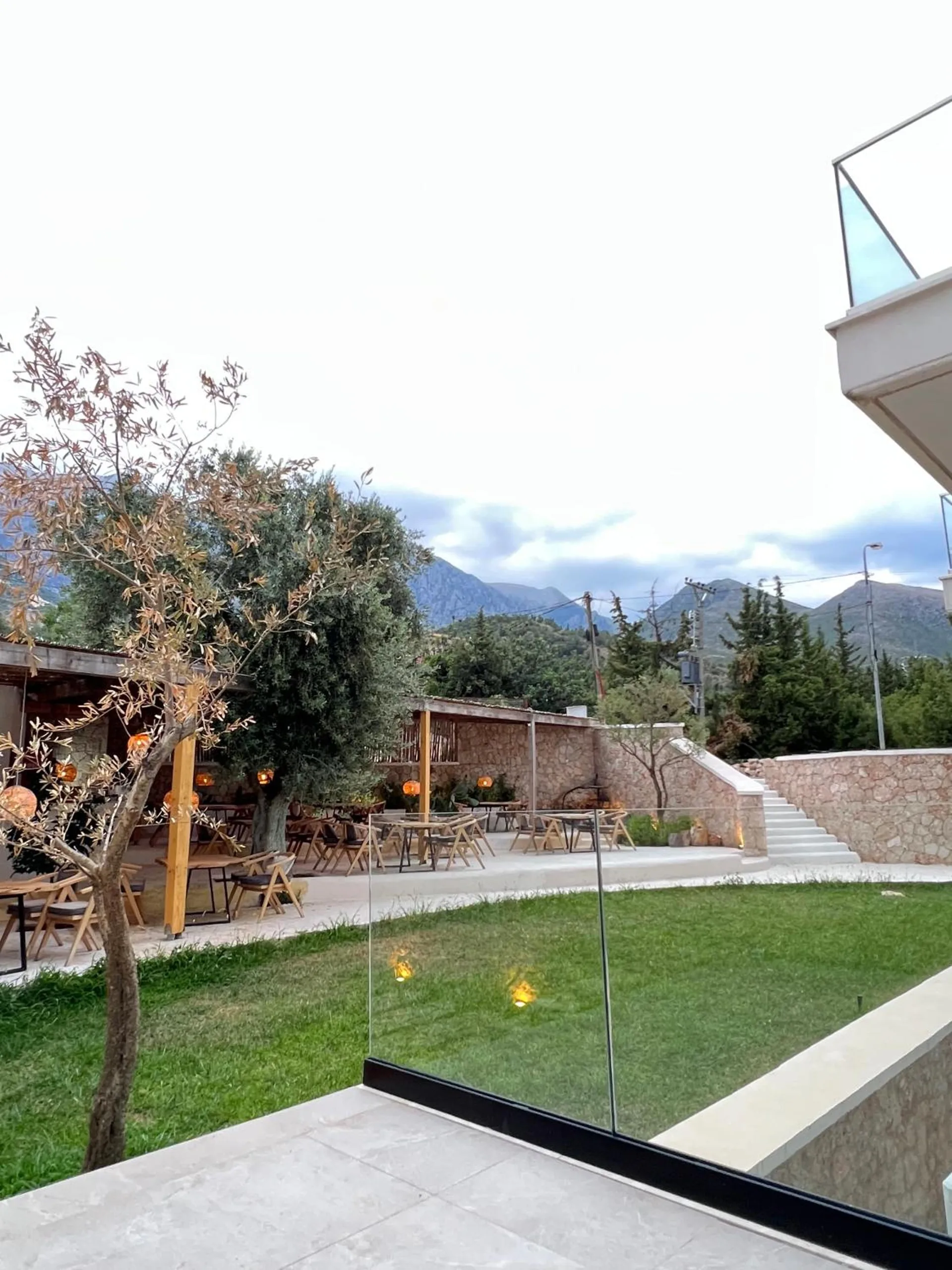 The lawn and an olive tree seen over a glass balustrade, with the Ceraunian mountains rising behind the terrace roofs