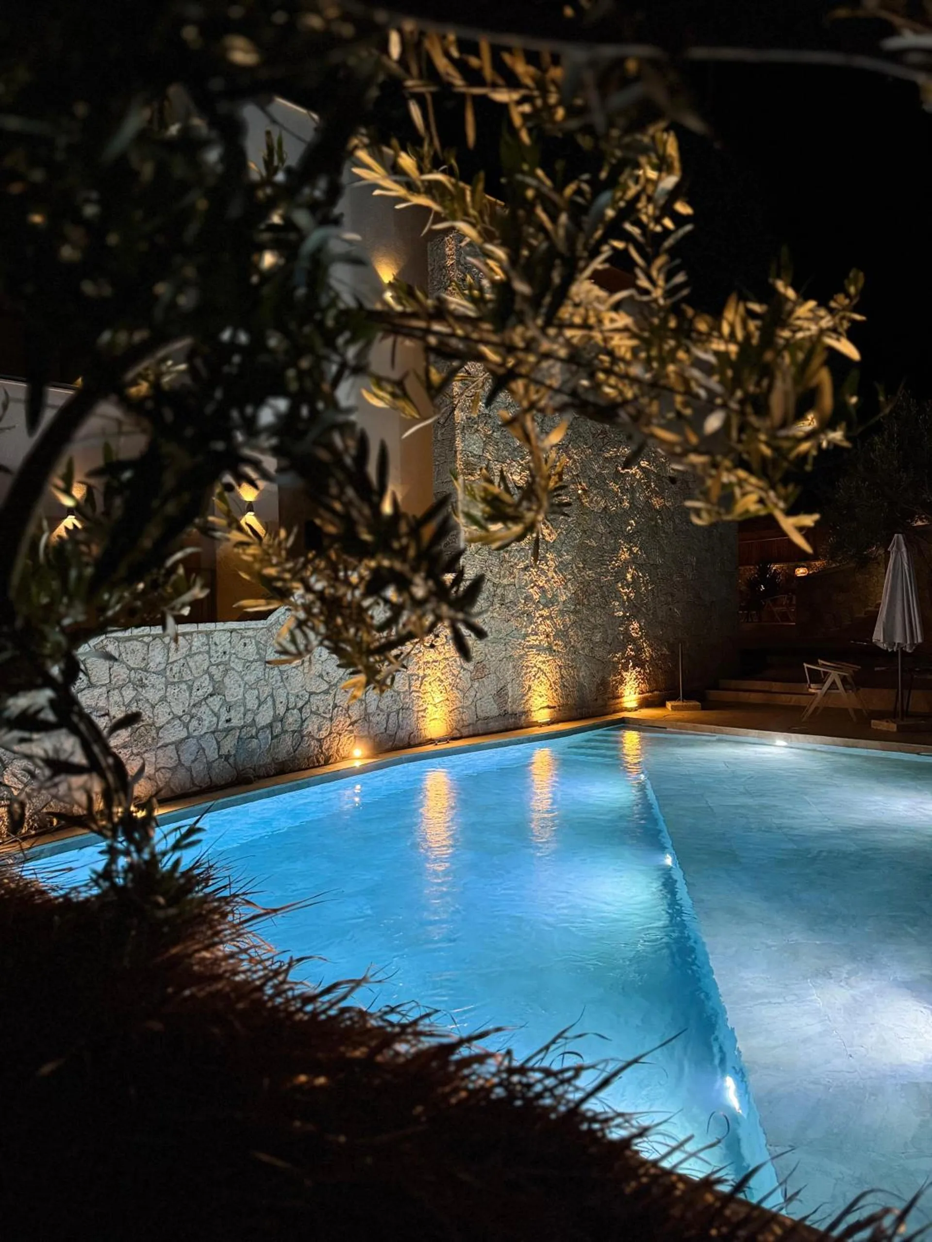 The pool lit turquoise at night, with olive branches uplit in warm light along the stone wall beside it