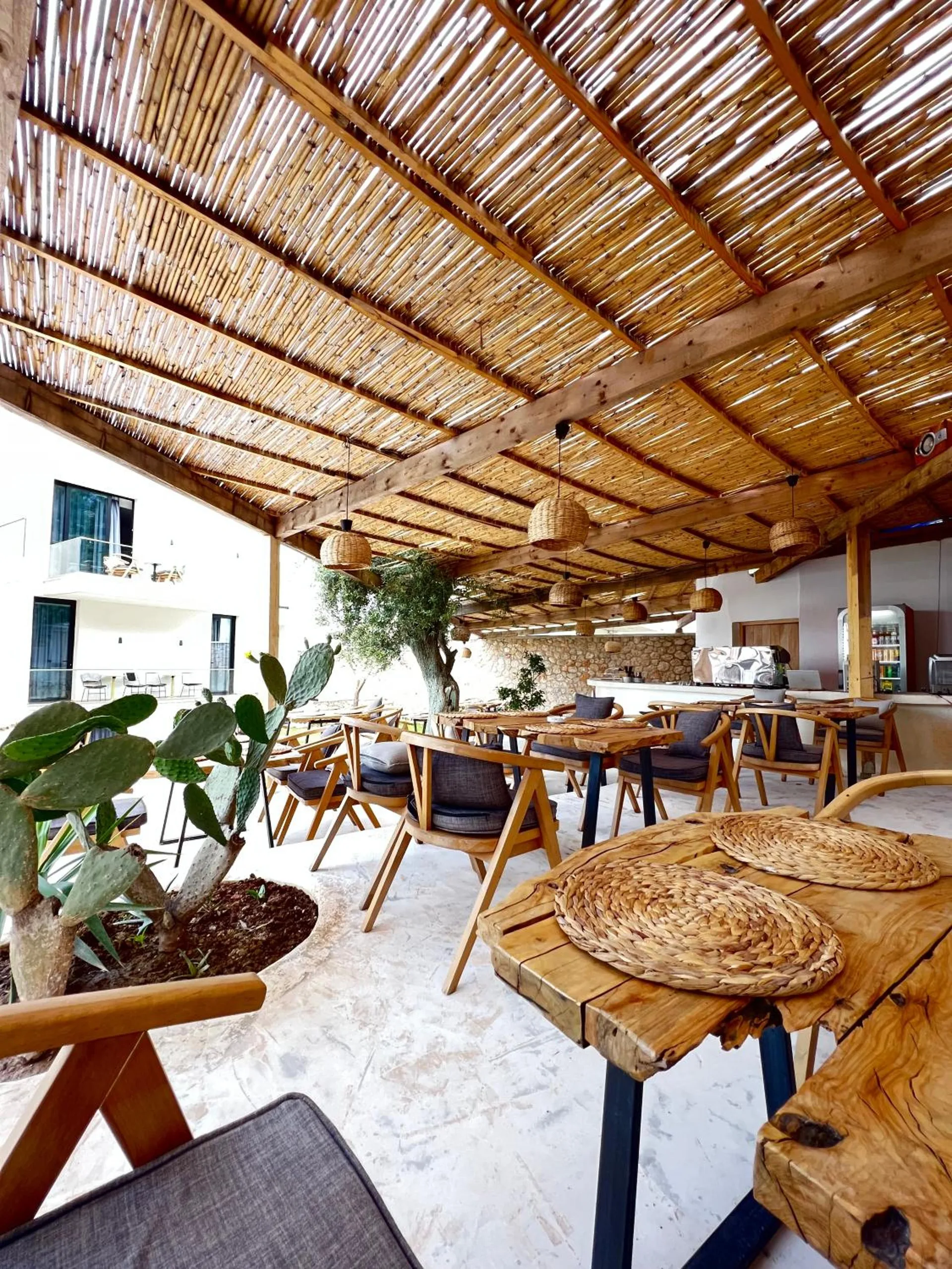 The breakfast terrace under a reed roof: live-edge timber tables with woven mats, curved wooden chairs, a potted prickly pear and the white house behind